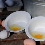 eggs