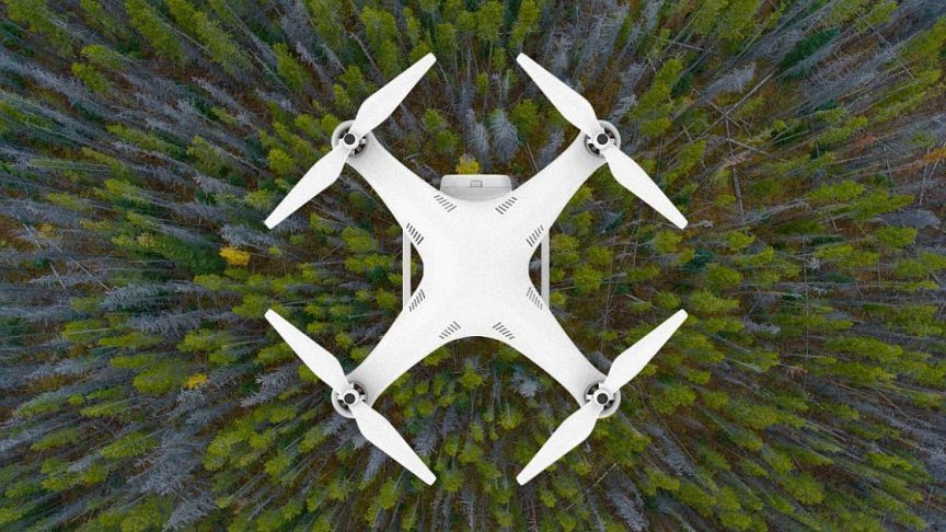 Mangrove-planting drones set to swoop in to restore UAE coastline ...