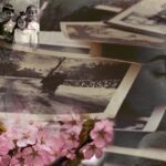 Memories_17eddbb1b23_medium