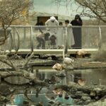 arabias-wildlife-centre3