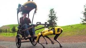 Robot dog pulls a rickshaw - https://www.dubaistandard.com