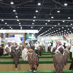 gulfnews_2024-11-19_xltdfqg8_AD_7_1725636450333_191c7f2985d_original_ratio