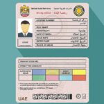 gulfnews_2025-06-20_galn3u0i_UAE-driving-licence_converted