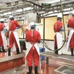 gulfnews_2026-02-21_l0li0gvu_battoirs_converted