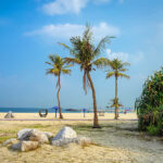 gulfnews_2026-08-20_cgh2o2el_Al-Mamzarnew-venue-for-the-2026-Dubai-T100-triathlon (1)