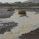 gulfnews_2026-08-23_l1qz6naq_Rain