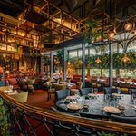 gulfnews_2026-08-27_dlvbzy91_coya