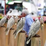 gulfnews_2026-08-28_466j5gxy_IMG7055