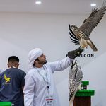 gulfnews_2026-08-29_8rn42nt9_ANS8629