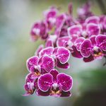 gulfnews_2026-10-30_v4ebob66_pexels-rrodriguesim-16872914