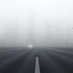 photo (9)