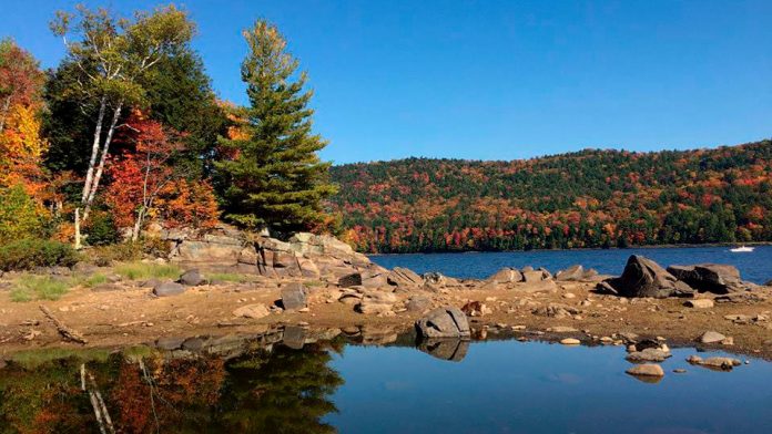 Travel Trip Fall Foliage Guide